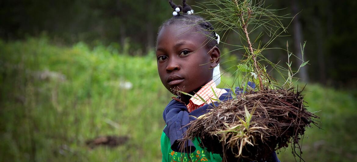 A student carries her seedling to where it will be planted.