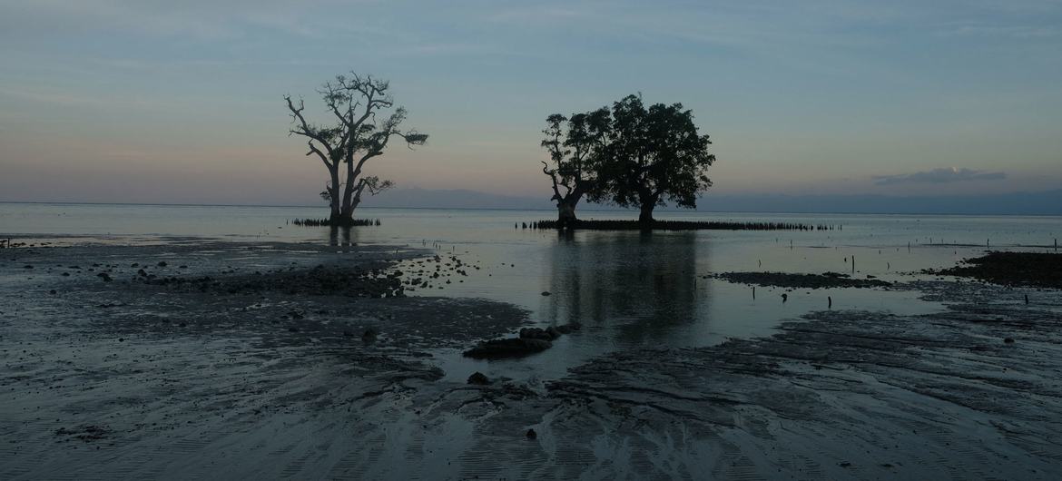 Rising sea levels are threatening the future of low-lying islands in the South-West Pacific.