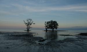 Rising sea levels are threatening the future of low-lying islands in the South-West Pacific.