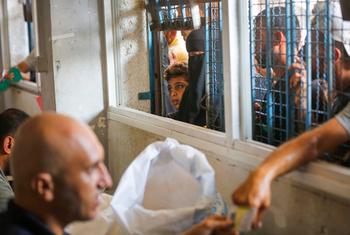 غزہ میں نقل مکانی پر مجبور بے گھر افراد میں امداد تقسیم کی جا رہی ہے۔