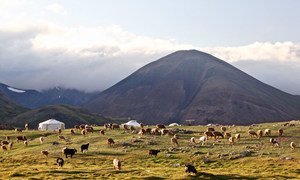Altai mountains, Western Mongolia