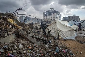 media:entermedia_image:ce6f2b08-e1d7-4542-9dc3-0b078e0fd545