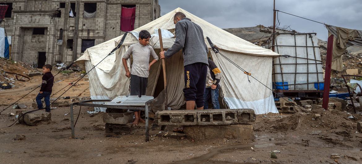 medios:entermedia_image:d6d403e4-d9f2-45aa-95b7-5a3c73cae786