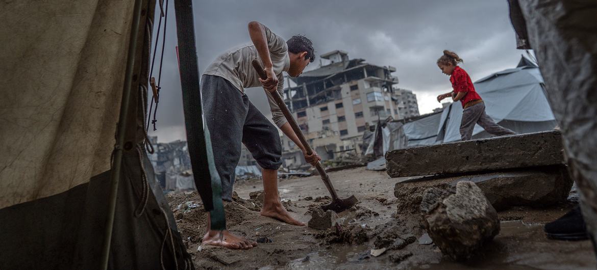 media:entermedia_image:037bed27-6f36-4cdc-aa06-9f7e1af1c756