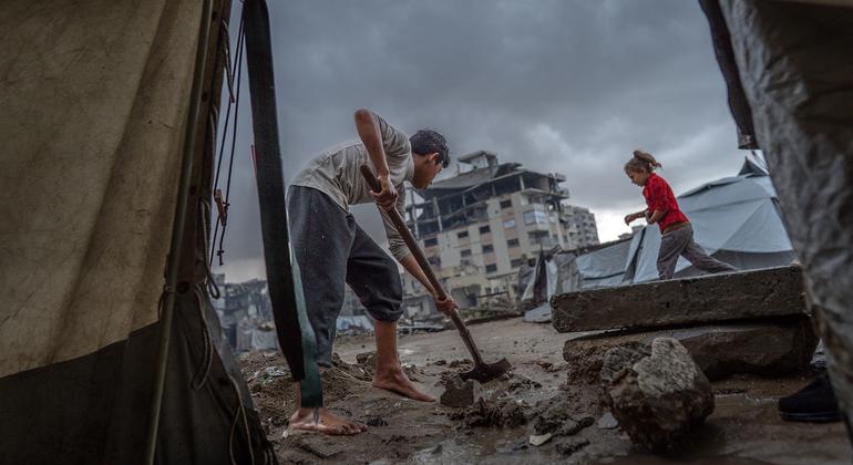 media:entermedia_image:037bed27-6f36-4cdc-aa06-9f7e1af1c756