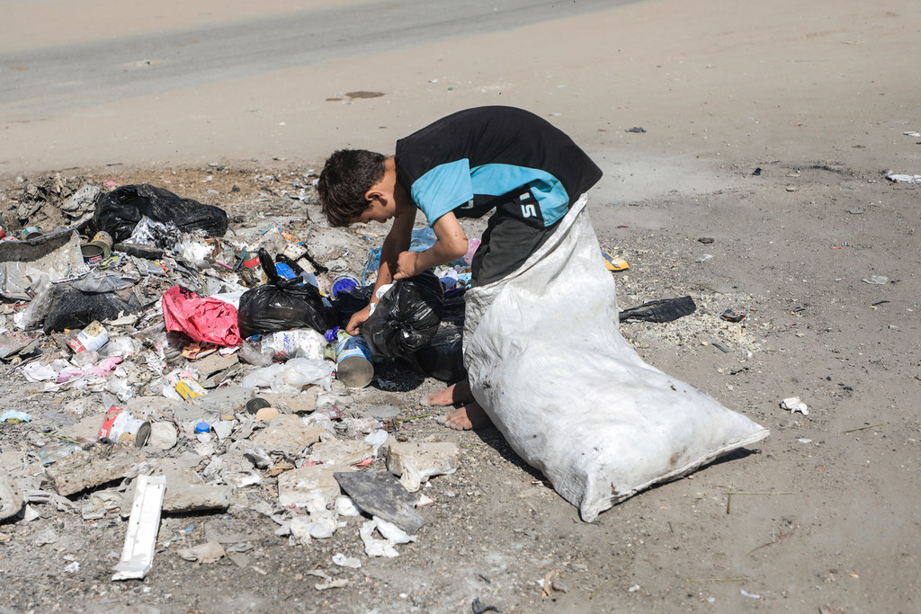 A boy in Gaza searches garbage for items that can be burnt as stove fuel.