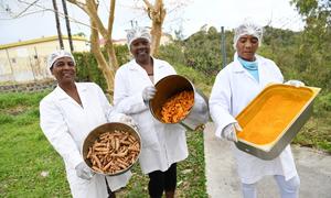 The spice turmeric is being produced by an association on the island of Rodrigues.