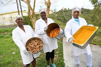 The spice turmeric is being produced by an association on the island of Rodrigues.