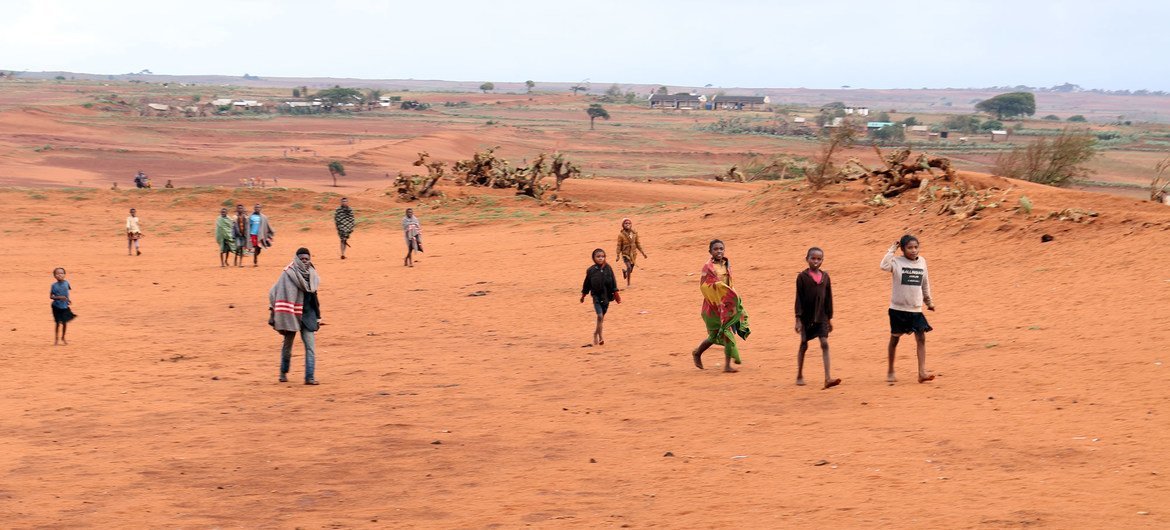 Climate alteration  has led to creeping desertification successful  parts of confederate  Madagascar.