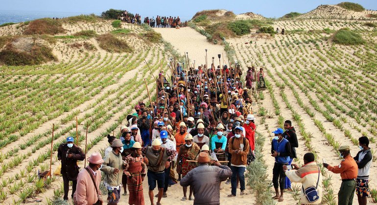Climate change and hunger in Madagascar: a UN Resident Coordinator blog