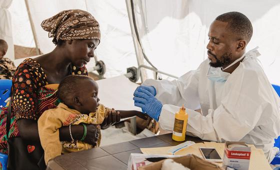 Anthrax outbreak compounds security crisis in eastern DR Congo