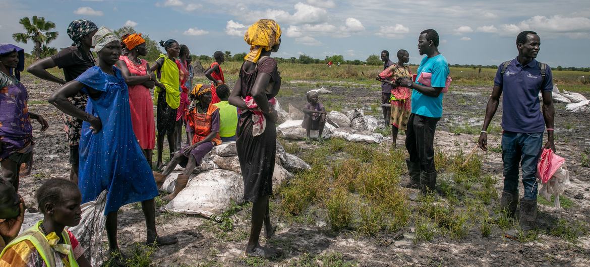 In Rupchai (Unity State), South Sudan, people collect food which was dropped from an airplane.