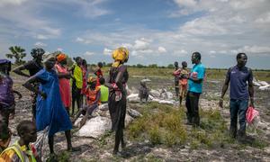 En Rupchai (estado de Unity), Sudán del Sur, la gente recoge alimentos. lanzados desde un avión.
