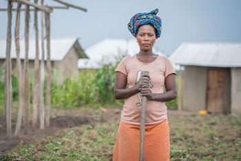 A woman in the eastern DR Congo, who was forced to flee her home, due to violence works on a smallholding.