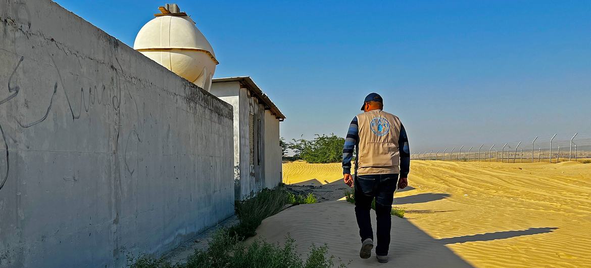 Villages like this one close to the Al Ahsa oasis have been fully submerged by sand.