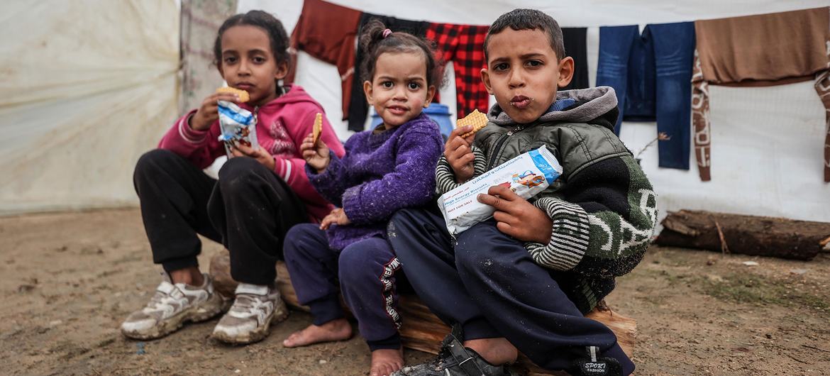 As famílias deslocadas pelo conflito em Gaza estão recebendo assistência alimentar da ONU.