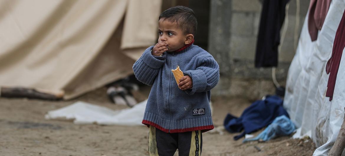 Um menino em Gaza come um biscoito nutritivo e cheio de energia.