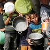 加沙北部两岁以下的儿童中有三分之一严重营养不良。