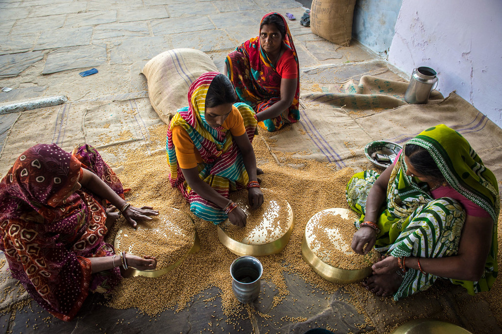 Women farmers in India sell wheat grain and buy fertilizer with the proceeds.