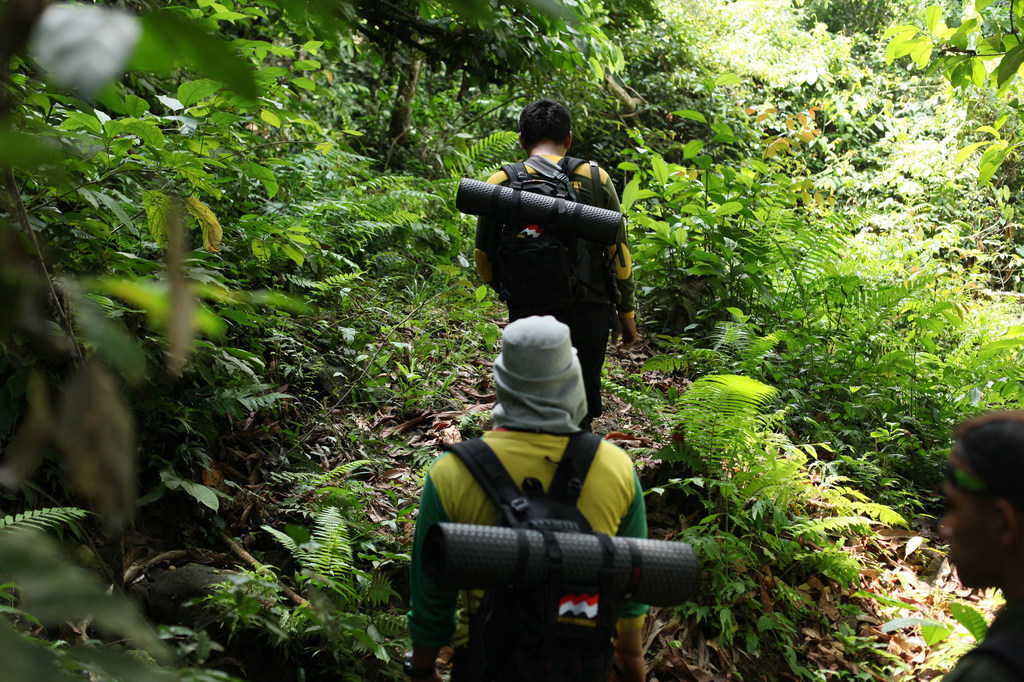 Des gardes forestiers patrouillent dans le parc national de Gunung Leuser, un projet CIWT du PNUD Indonésie