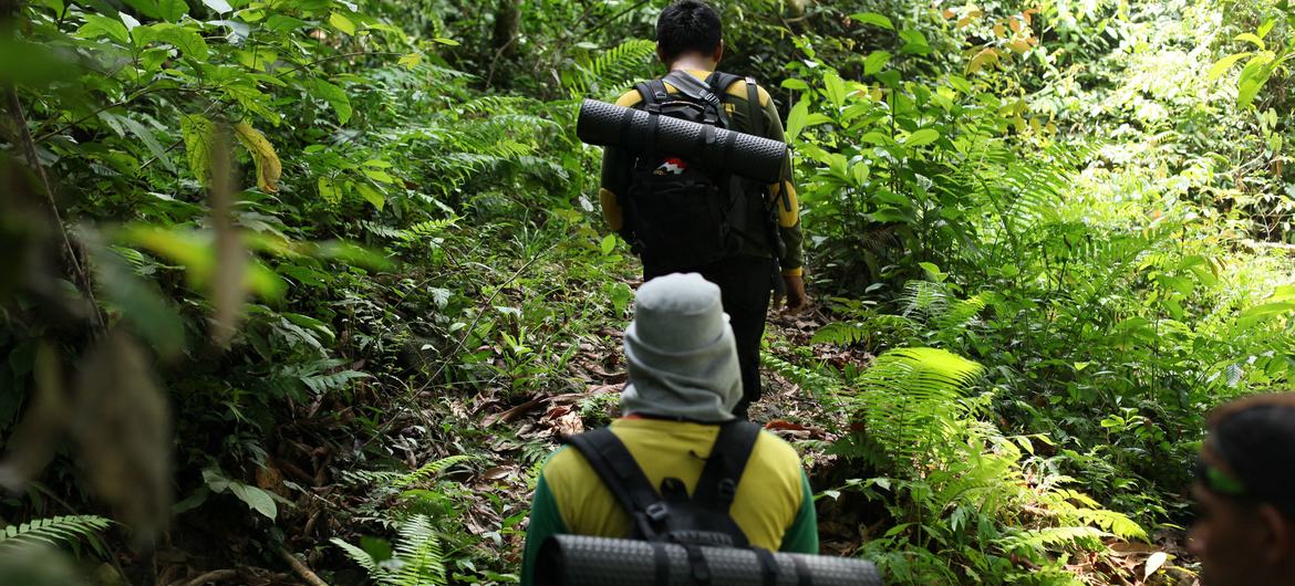 © 开发署印尼打击非法野生动植物贸易项目