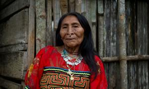 Indigenous Peoples should be at the forefront of climate action, drawing on generations of environmental stewardship and deep connection to the land.