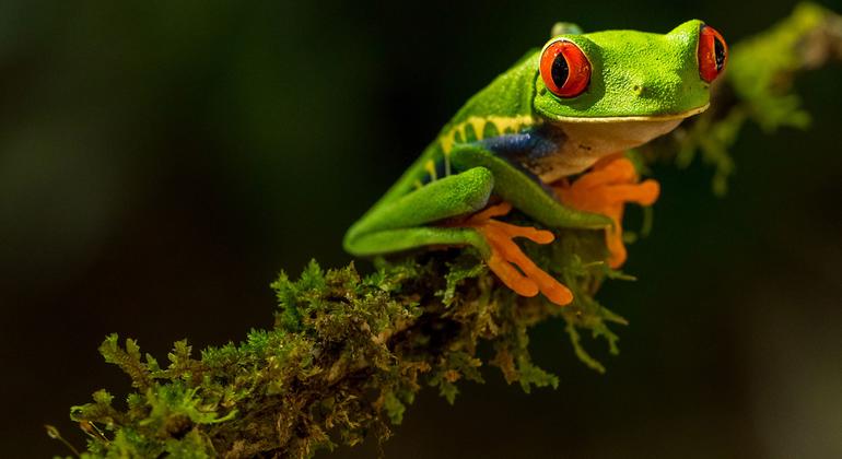Biological diversity across the world is under threat due to climate change.
