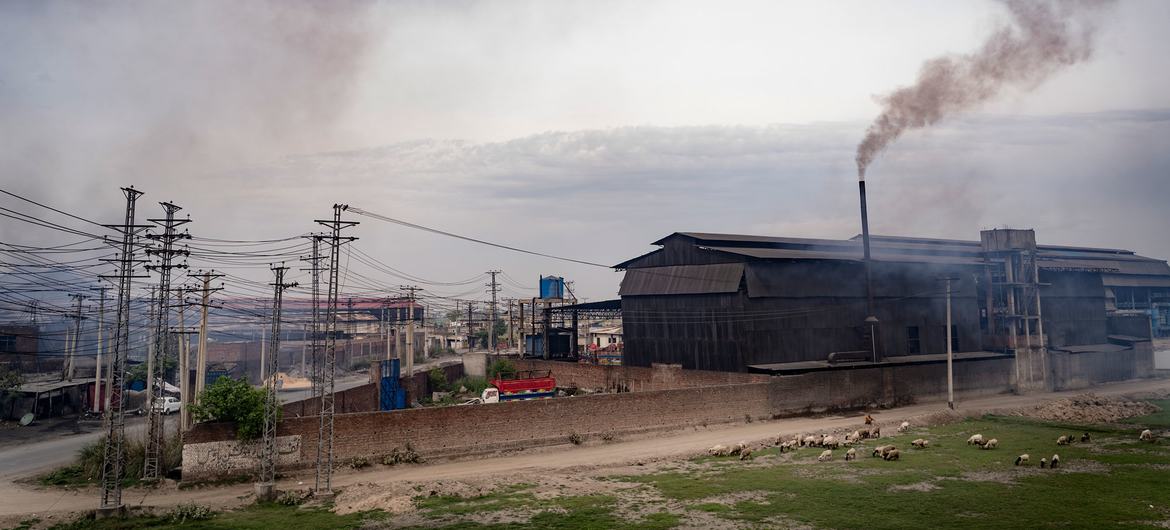 Инвестиции в чистую энергию помогут решить проблему загрязнения воздуха. 