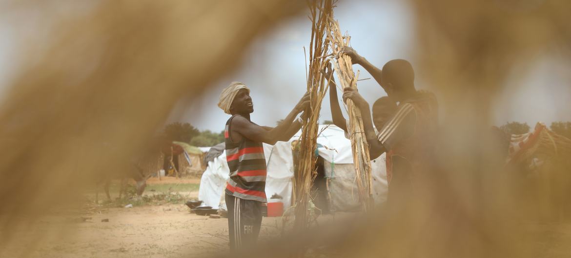 Refugiados sudaneses constroem um abrigo no Campo de Refugiados Zabout em Goz Beida, Chade