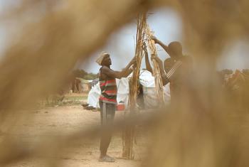 Sudanese refugees build a shelter at the Zabout refugee Camp in Goz Beida, Chad.