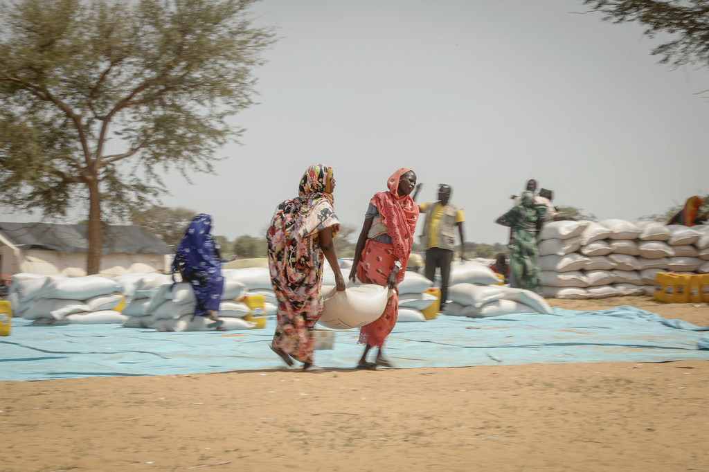 Des réfugiés soudanais au Tchad collectent de la nourriture distribuée par l'ONU.