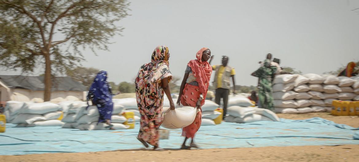 Des réfugiés soudanais au Tchad collectent de la nourriture distribuée par l'ONU.