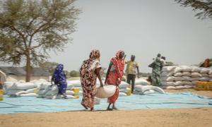 Sudanese refugees in Chad collect food distributed by the UN.