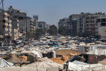 加沙的阿尔里马尔流离失所者营地。