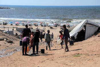 Familles déplacées dans les zones côtières de Gaza.