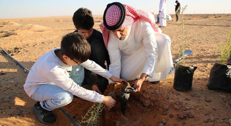 من الميدان: تجارب ناجحة على الخطوط الأمامية لمكافحة التصحر