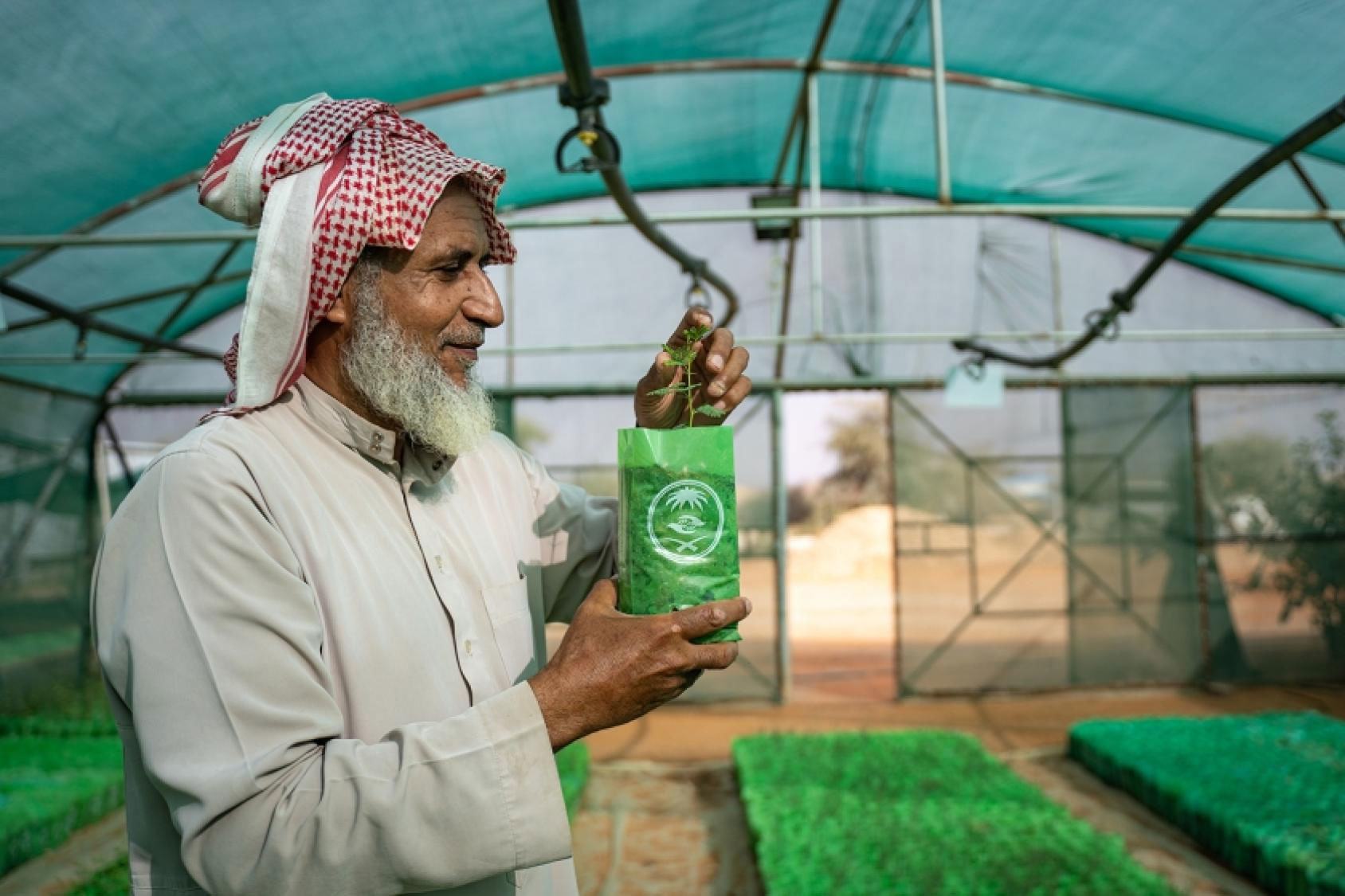 Abdullah Ibrahim Alissa, directeur du parc national de Thadiq, surveille les jeunes plants dans une pépinière située dans une zone désertique du centre de l'Arabie saoudite.