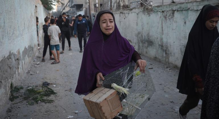 A girl rescues her pet bird following an airstrike in the city of Rafah, in the south of the Gaza Strip.