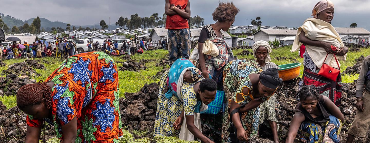 FAO is assisting displaced people in DR Congo with cash transfers and agricultural assistance. FAO is assisting displaced people in DR Congo with cash transfers and agricultural assistance.