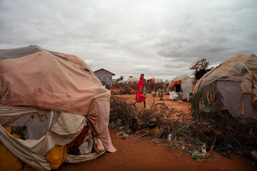 MIles de somalíes abandonan sus casas y se desplazan debido a la sequía.