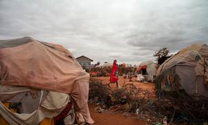 MIles de somalíes abandonan sus casas y se desplazan debido a la sequía.