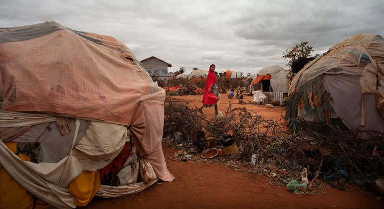[UN News photo]