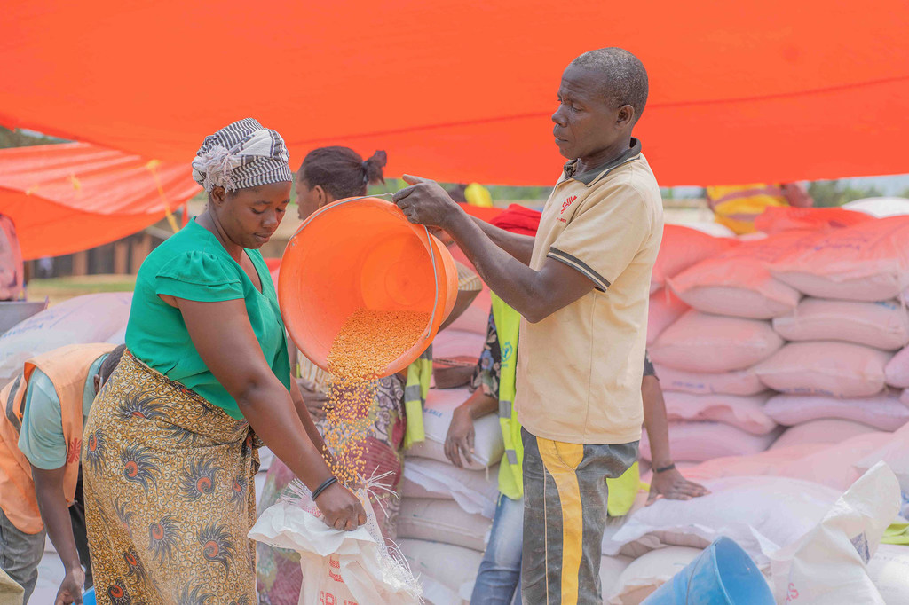 Une aide alimentaire est distribuée aux personnes déplacées dans l'est de la République démocratique du Congo.
