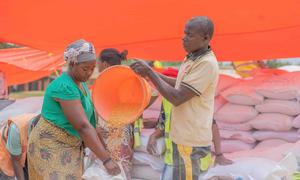 Food assistance is distributed to displaced people in the eastern DR Congo.