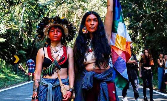 Especialistas em direitos humanos condenam ataque mortal a indígenas no Brasil