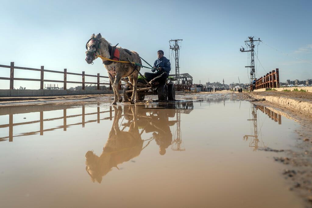 Un homme conduit sa charrette tirée par un cheval à travers une zone inondée du centre de Gaza.