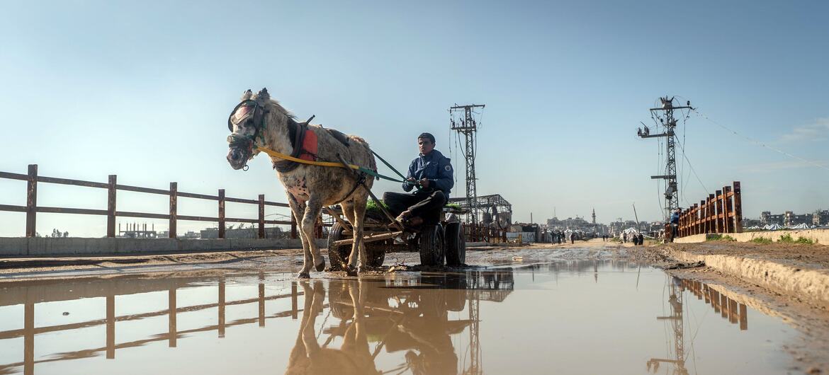 Un hombre conduce un carro tirado por caballos a través de una calle inundada en Wadi Gaza, con una barrera de arena visible a lo largo de la orilla del río para protegerse contra las inundaciones.