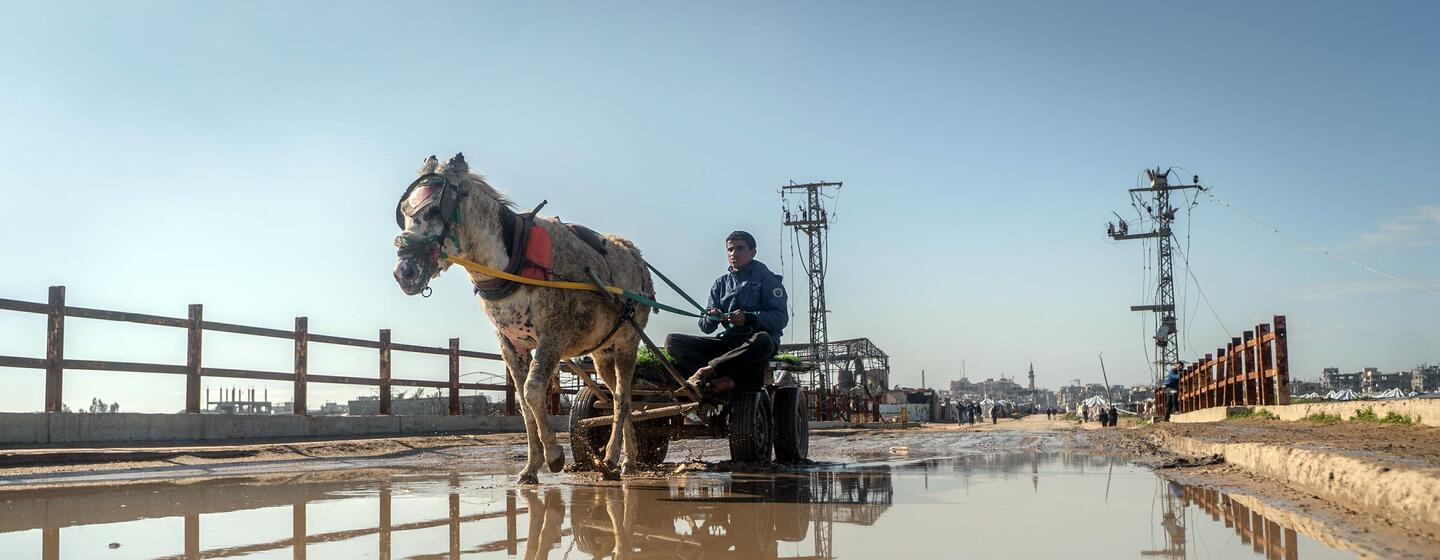 Un homme conduit un chariot tiré par des chevaux dans une rue inondée de Wadi Gaza, avec une barrière de sable visible le long de la rive du fleuve pour se protéger contre les inondations.