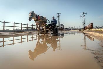 Un homme conduit un chariot tiré par des chevaux dans une rue inondée de Wadi Gaza, avec une barrière de sable visible le long de la rive du fleuve pour se protéger contre les inondations.
