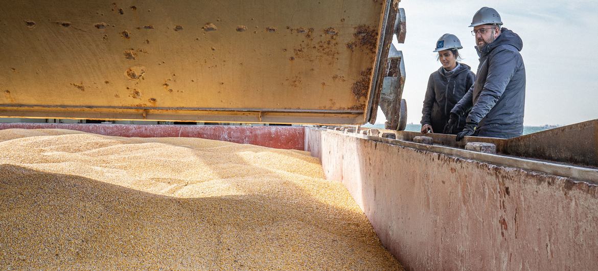 A joint inspection team inspects the grain cargo of a ship leaving Ukraine under the Black Sea Grain Initiative.